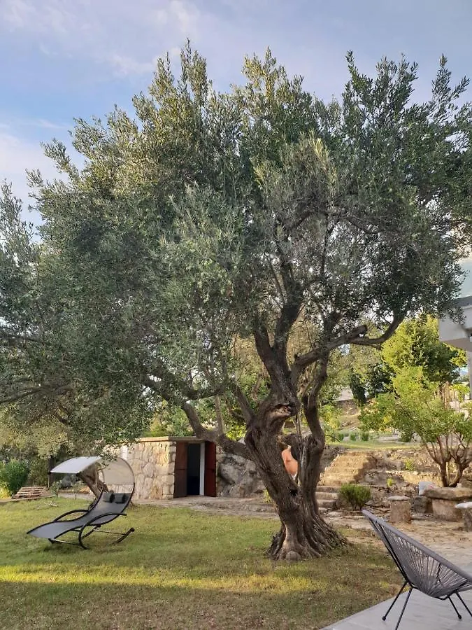 Beautiful House/Villa Arboretum Maslenica Holiday home