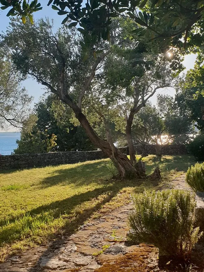 Holiday home Beautiful House/Villa Arboretum Maslenica Croatia